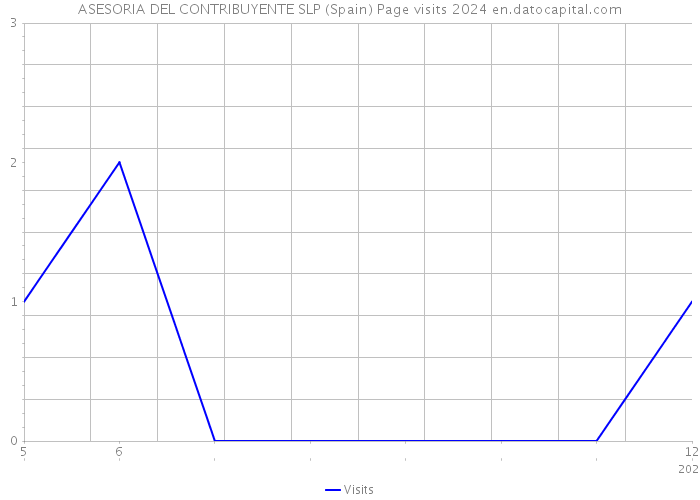 ASESORIA DEL CONTRIBUYENTE SLP (Spain) Page visits 2024 
