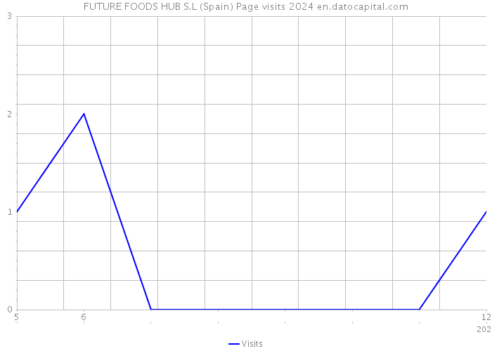 FUTURE FOODS HUB S.L (Spain) Page visits 2024 