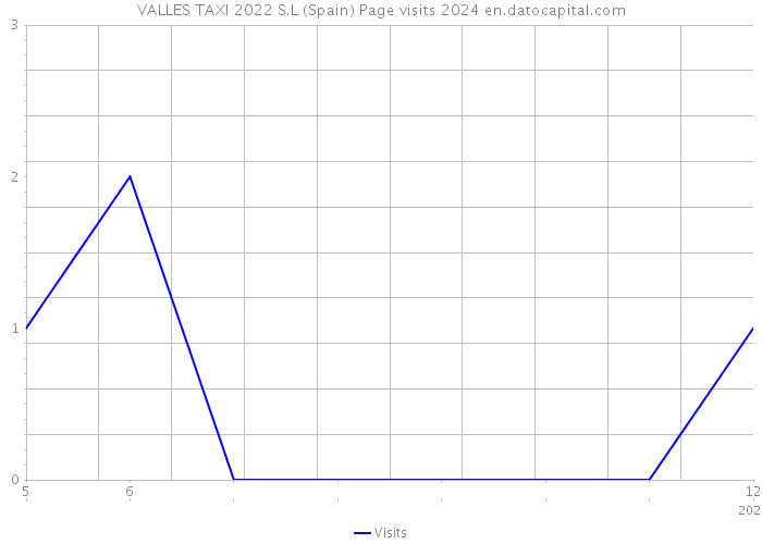VALLES TAXI 2022 S.L (Spain) Page visits 2024 