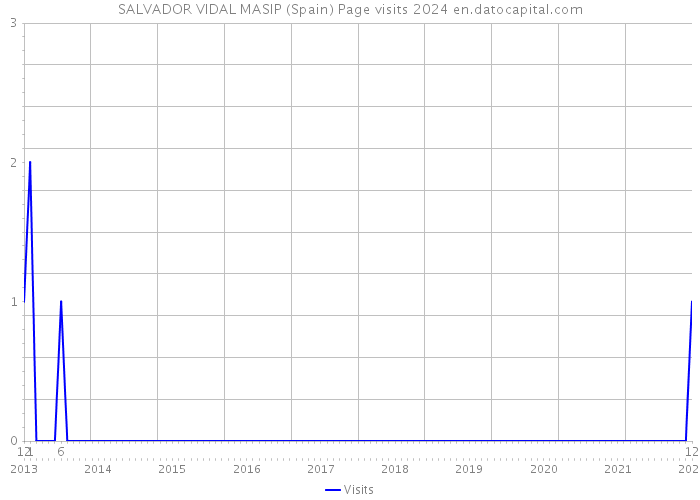 SALVADOR VIDAL MASIP (Spain) Page visits 2024 