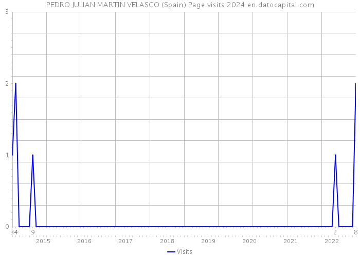 PEDRO JULIAN MARTIN VELASCO (Spain) Page visits 2024 