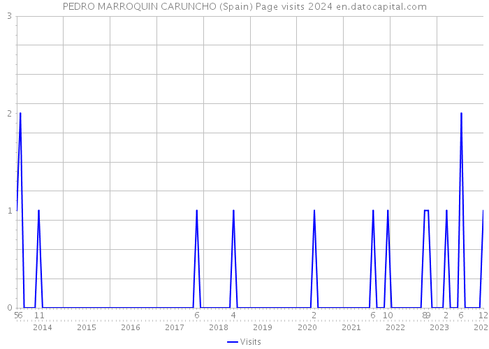 PEDRO MARROQUIN CARUNCHO (Spain) Page visits 2024 
