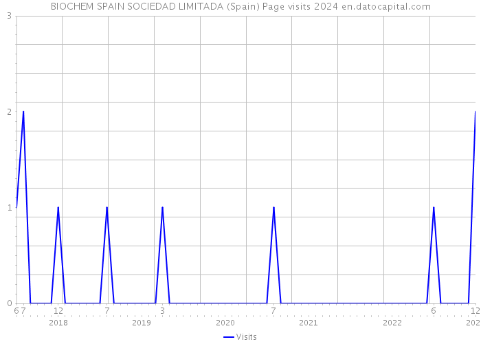 BIOCHEM SPAIN SOCIEDAD LIMITADA (Spain) Page visits 2024 