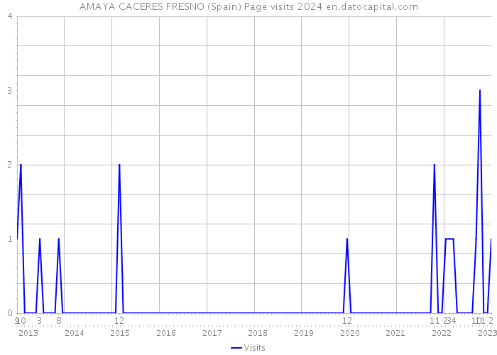 AMAYA CACERES FRESNO (Spain) Page visits 2024 