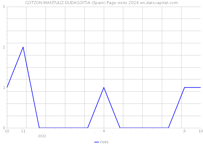 GOTZON MANTULIZ DUDAGOITIA (Spain) Page visits 2024 