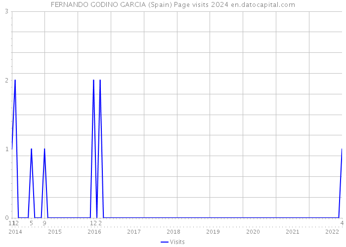 FERNANDO GODINO GARCIA (Spain) Page visits 2024 