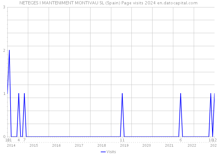 NETEGES I MANTENIMENT MONTIVAU SL (Spain) Page visits 2024 