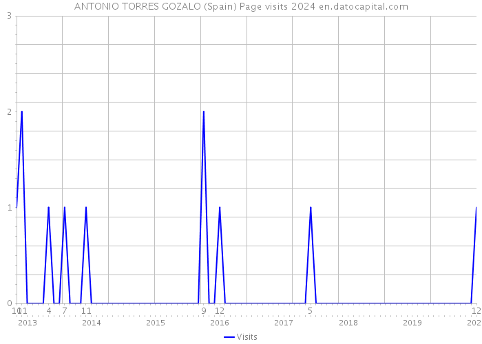 ANTONIO TORRES GOZALO (Spain) Page visits 2024 