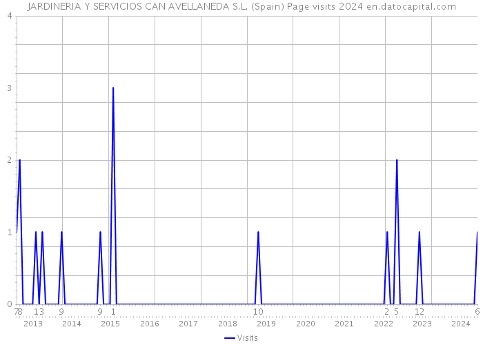 JARDINERIA Y SERVICIOS CAN AVELLANEDA S.L. (Spain) Page visits 2024 