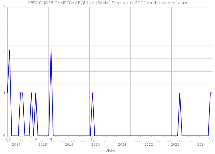 PEDRO JOSE CAMPO MARQUINA (Spain) Page visits 2024 
