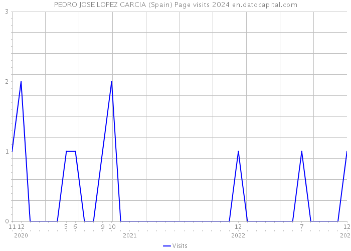 PEDRO JOSE LOPEZ GARCIA (Spain) Page visits 2024 