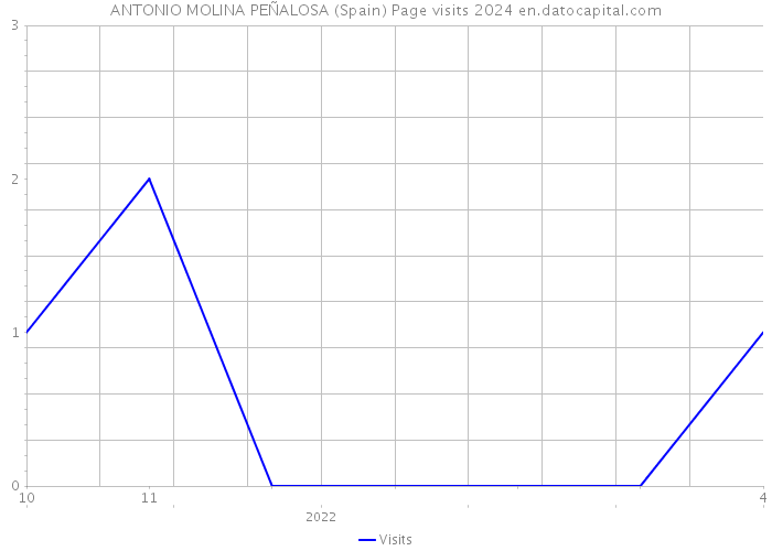 ANTONIO MOLINA PEÑALOSA (Spain) Page visits 2024 