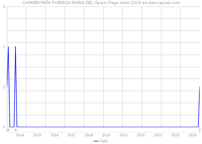 CARMEN PEÑA FABREGA MARIA DEL (Spain) Page visits 2024 