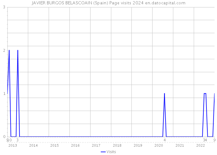 JAVIER BURGOS BELASCOAIN (Spain) Page visits 2024 