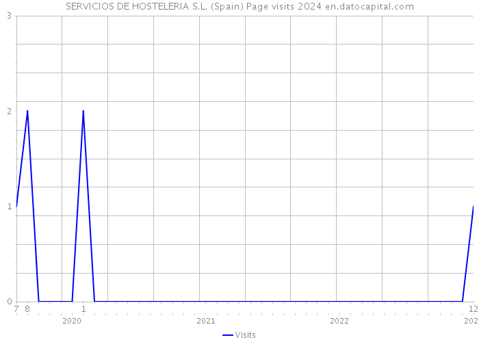 SERVICIOS DE HOSTELERIA S.L. (Spain) Page visits 2024 