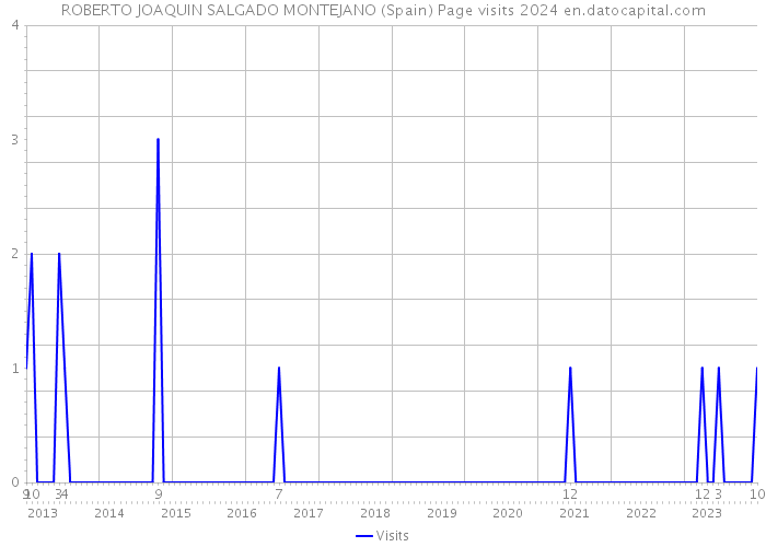 ROBERTO JOAQUIN SALGADO MONTEJANO (Spain) Page visits 2024 