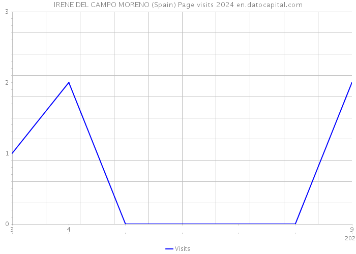 IRENE DEL CAMPO MORENO (Spain) Page visits 2024 