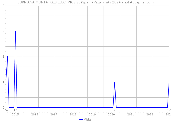 BURRIANA MUNTATGES ELECTRICS SL (Spain) Page visits 2024 
