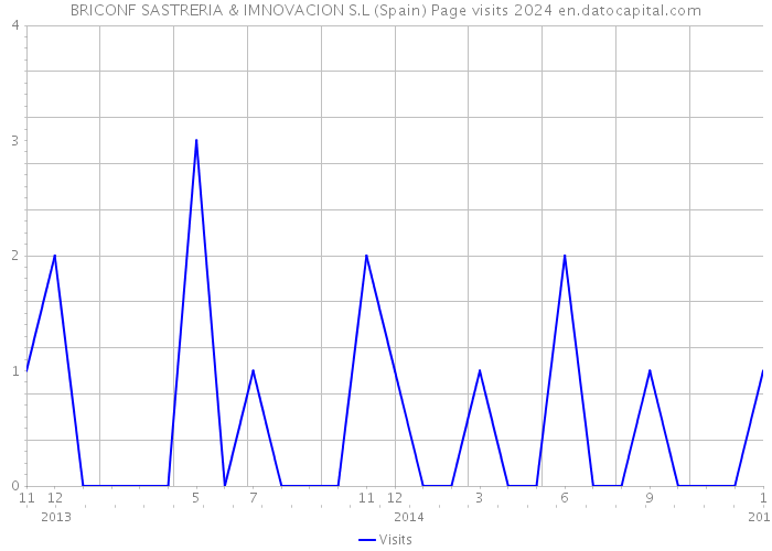 BRICONF SASTRERIA & IMNOVACION S.L (Spain) Page visits 2024 