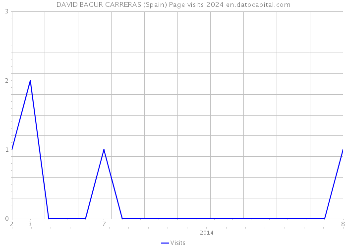 DAVID BAGUR CARRERAS (Spain) Page visits 2024 