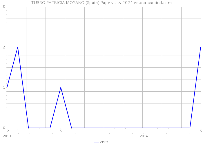 TURRO PATRICIA MOYANO (Spain) Page visits 2024 