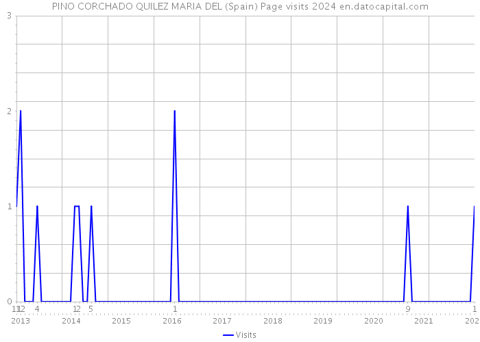 PINO CORCHADO QUILEZ MARIA DEL (Spain) Page visits 2024 