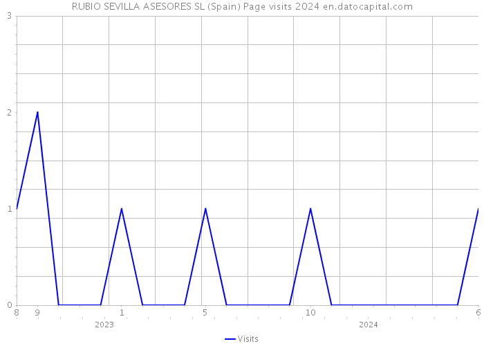 RUBIO SEVILLA ASESORES SL (Spain) Page visits 2024 