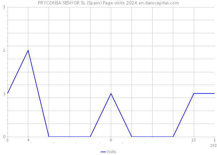 PRYCONSA SENYOR SL (Spain) Page visits 2024 