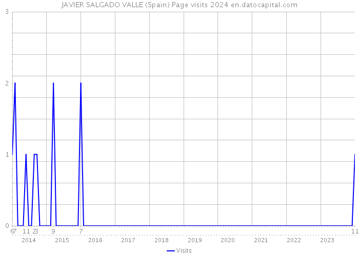 JAVIER SALGADO VALLE (Spain) Page visits 2024 