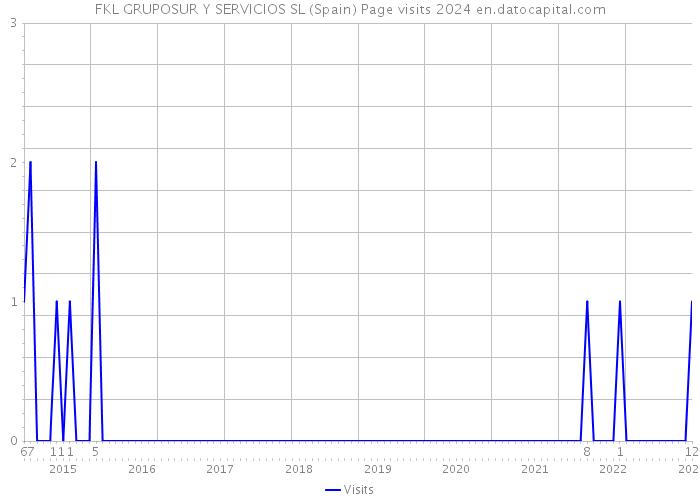 FKL GRUPOSUR Y SERVICIOS SL (Spain) Page visits 2024 