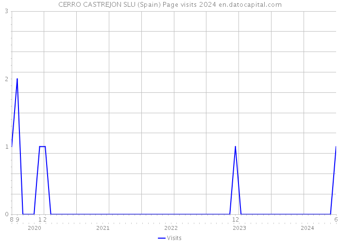 CERRO CASTREJON SLU (Spain) Page visits 2024 