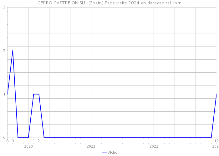 CERRO CASTREJON SLU (Spain) Page visits 2024 