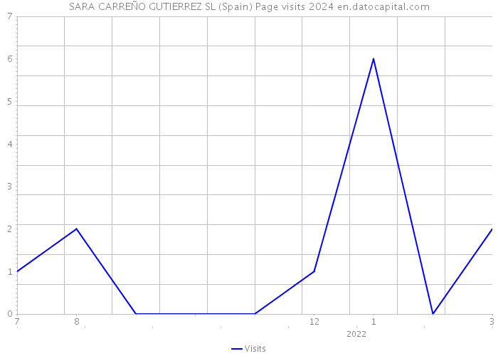 SARA CARREÑO GUTIERREZ SL (Spain) Page visits 2024 