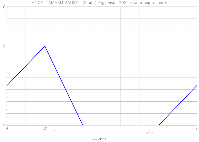 ANGEL TAMARIT RAUSELL (Spain) Page visits 2024 