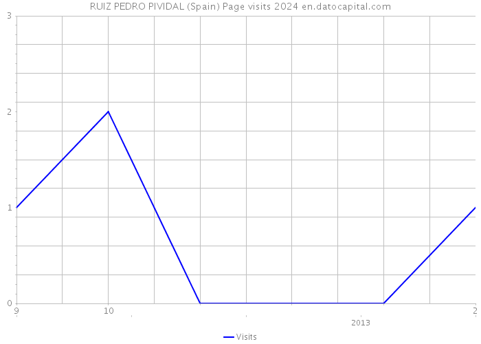 RUIZ PEDRO PIVIDAL (Spain) Page visits 2024 
