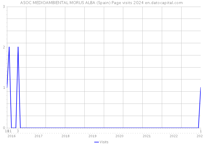 ASOC MEDIOAMBIENTAL MORUS ALBA (Spain) Page visits 2024 