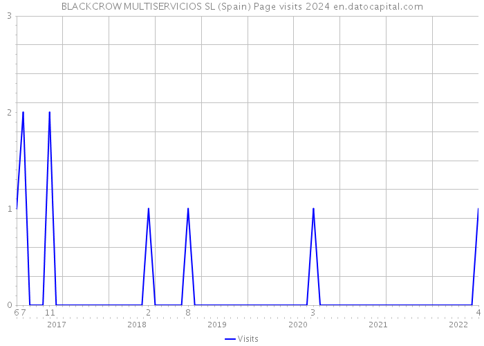 BLACKCROW MULTISERVICIOS SL (Spain) Page visits 2024 