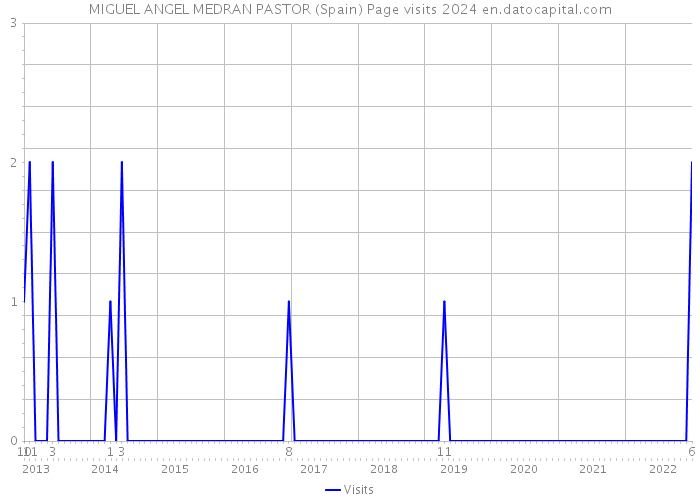 MIGUEL ANGEL MEDRAN PASTOR (Spain) Page visits 2024 