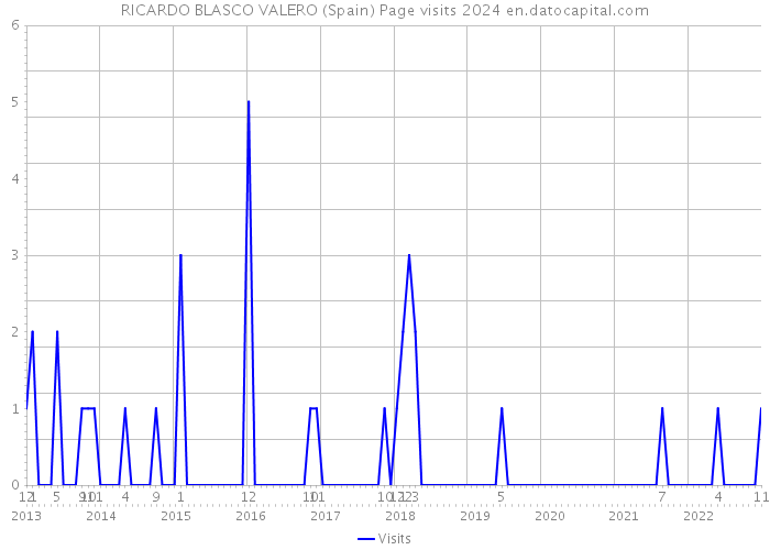 RICARDO BLASCO VALERO (Spain) Page visits 2024 