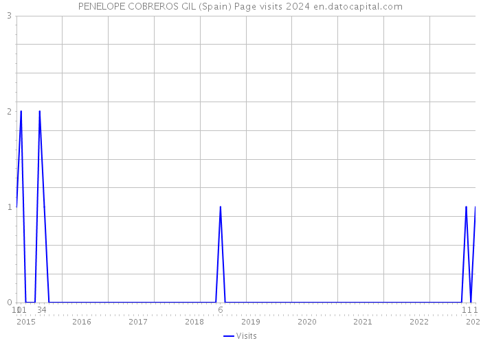 PENELOPE COBREROS GIL (Spain) Page visits 2024 