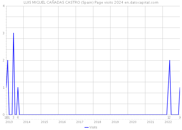 LUIS MIGUEL CAÑADAS CASTRO (Spain) Page visits 2024 