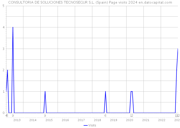 CONSULTORIA DE SOLUCIONES TECNOSEGUR S.L. (Spain) Page visits 2024 