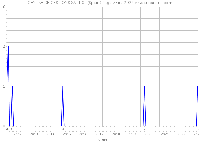 CENTRE DE GESTIONS SALT SL (Spain) Page visits 2024 