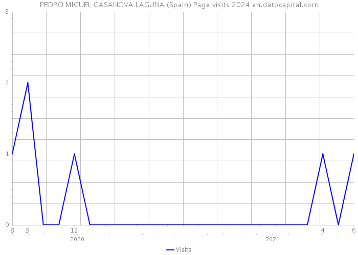 PEDRO MIGUEL CASANOVA LAGUNA (Spain) Page visits 2024 