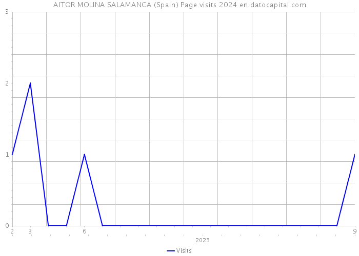 AITOR MOLINA SALAMANCA (Spain) Page visits 2024 