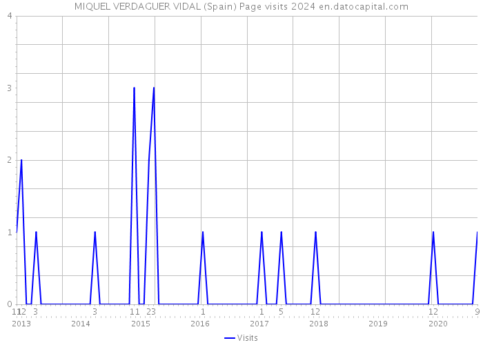 MIQUEL VERDAGUER VIDAL (Spain) Page visits 2024 