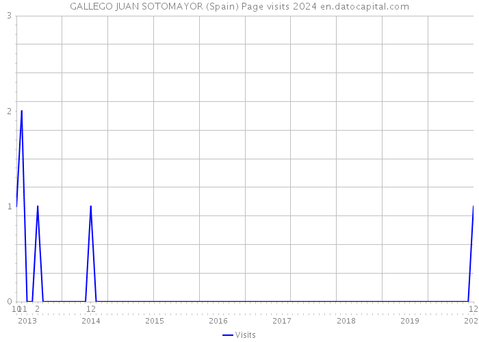 GALLEGO JUAN SOTOMAYOR (Spain) Page visits 2024 