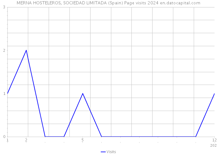 MERNA HOSTELEROS, SOCIEDAD LIMITADA (Spain) Page visits 2024 