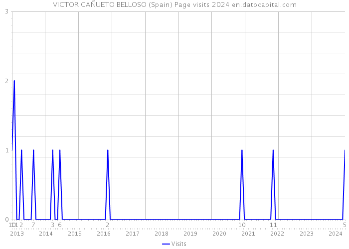 VICTOR CAÑUETO BELLOSO (Spain) Page visits 2024 
