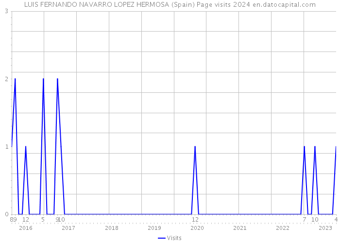 LUIS FERNANDO NAVARRO LOPEZ HERMOSA (Spain) Page visits 2024 